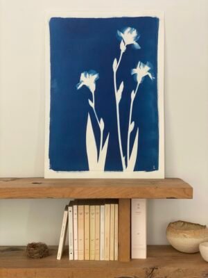 Trio d'Iris