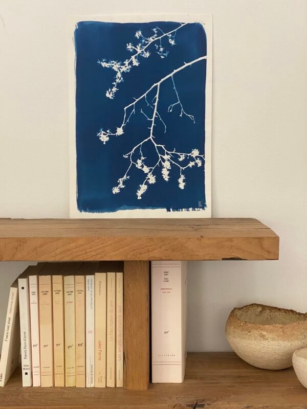 IMG_0749 Annonce de printemps