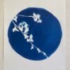 Lune Sakura
