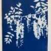 Glycine