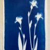 Trio d'Iris